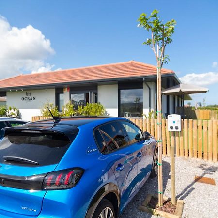 Oceansuiteslangre Galizano Luaran gambar